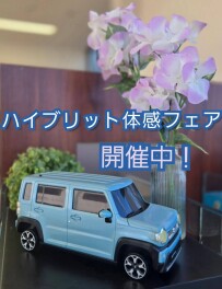 ＼スズキハイブリッド体感フェア開催中！／